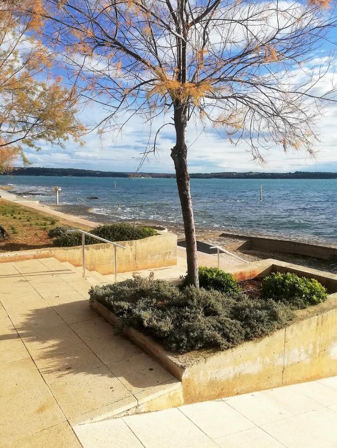 Apartment Jana Novigrad Istria Εξωτερικό φωτογραφία